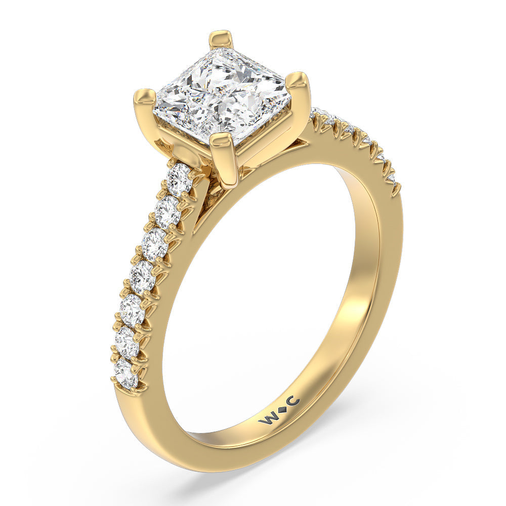 French Basket Pave Diamond Engagement Ring with Princess Cut Diamond in 14KT Yellow Gold view 3