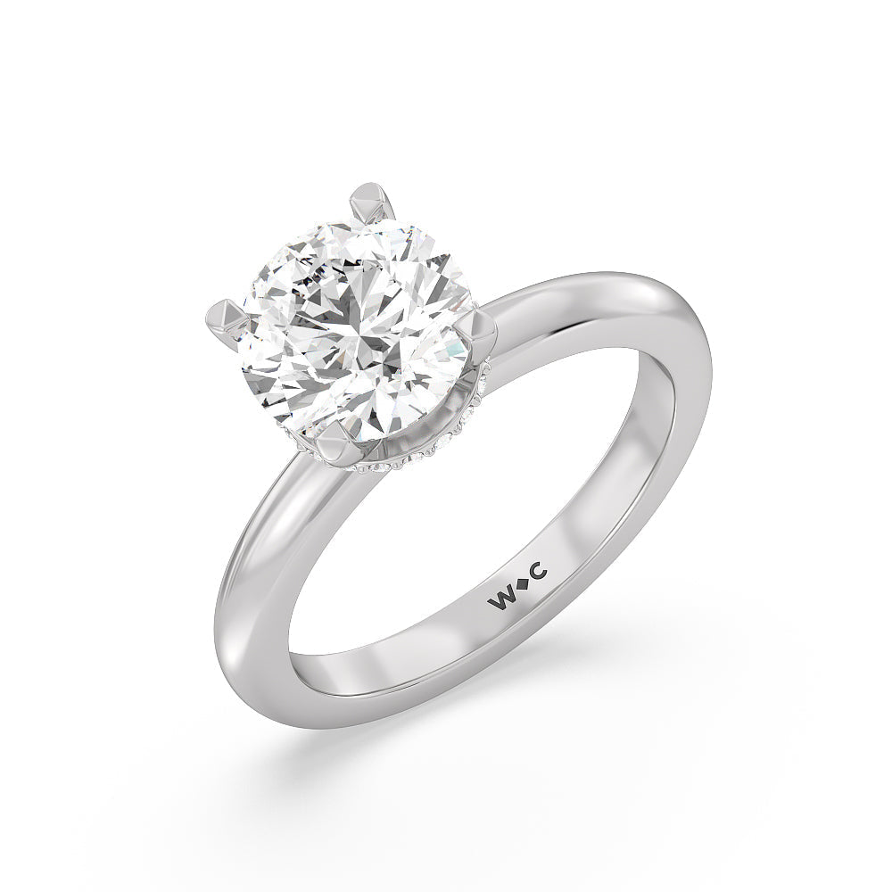 Petite Modern Fine Line Hidden Halo Engagement Ring with Round Cut Diamond in 14KT Platinum view 3
