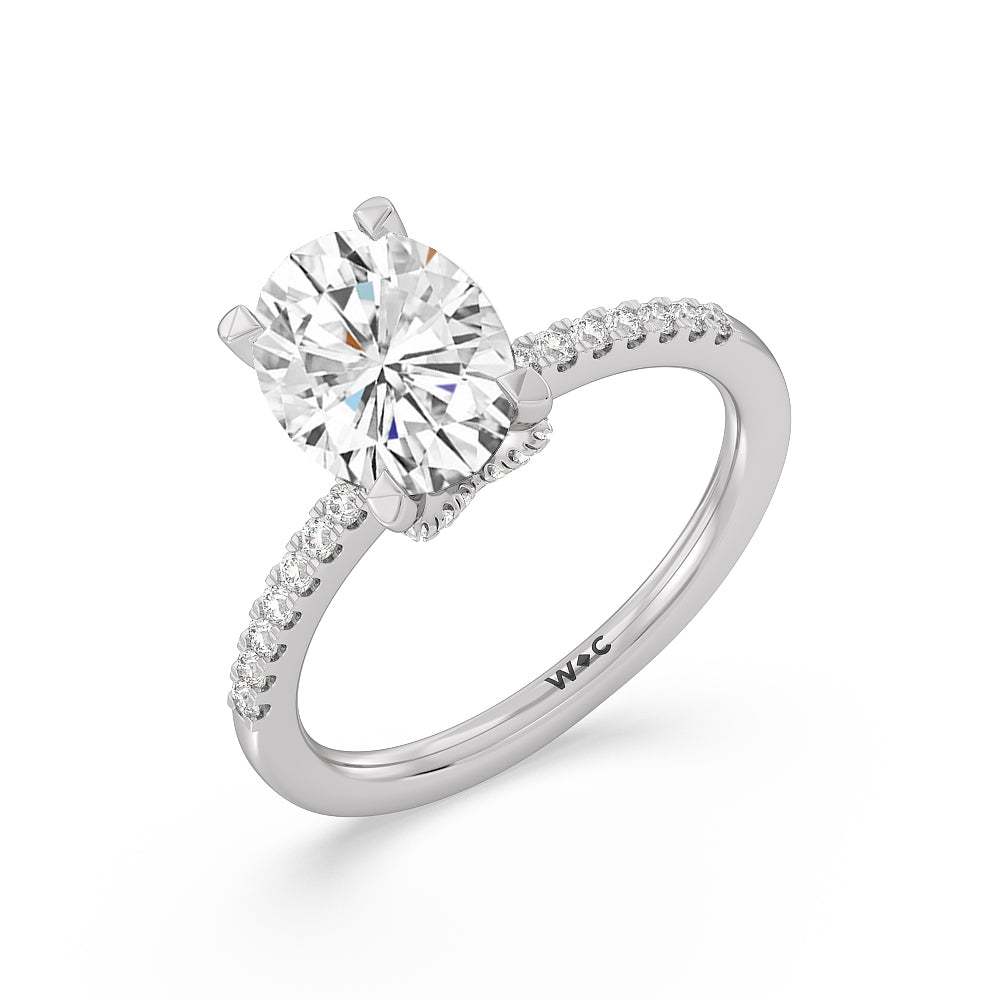 Arc Hidden Halo Engagement Ring with Oval Cut Diamond in 14KT Platinum view 3
