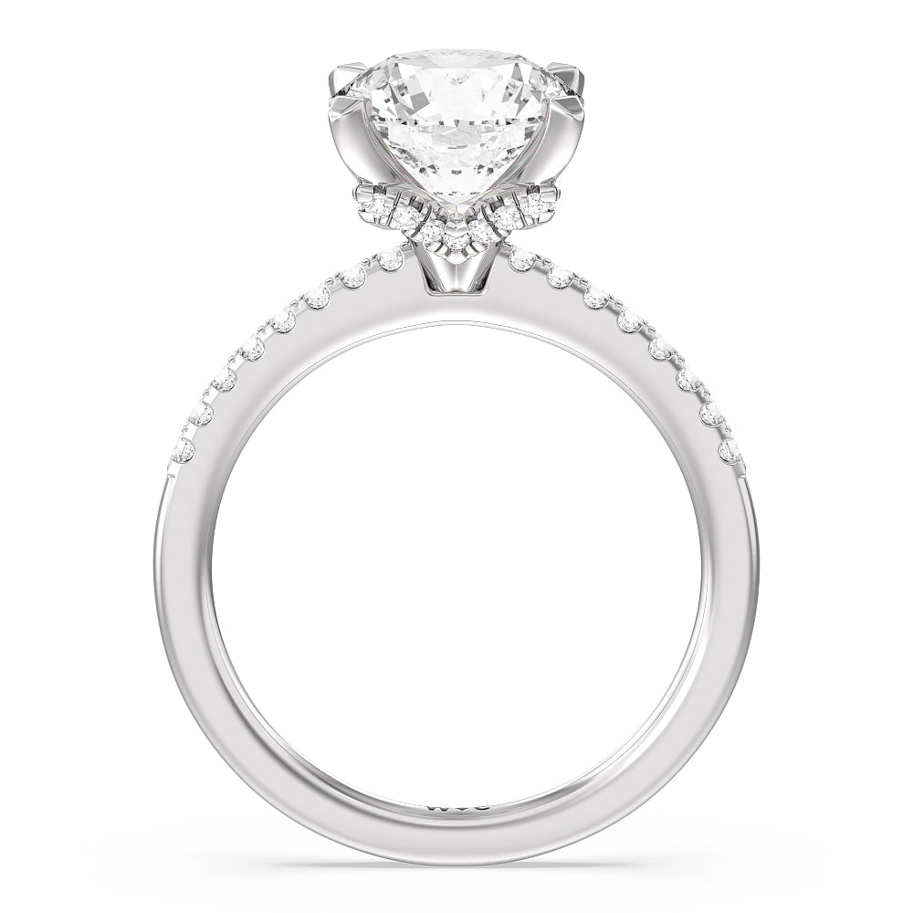 Arc Hidden Halo Engagement Ring with Round Cut Diamond in 14KT Platinum view 2
