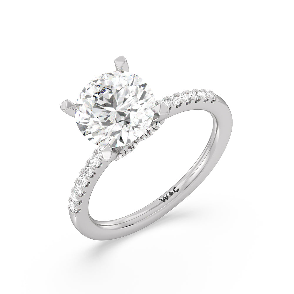 Arc Hidden Halo Engagement Ring with Round Cut Diamond in 14KT Platinum view 3
