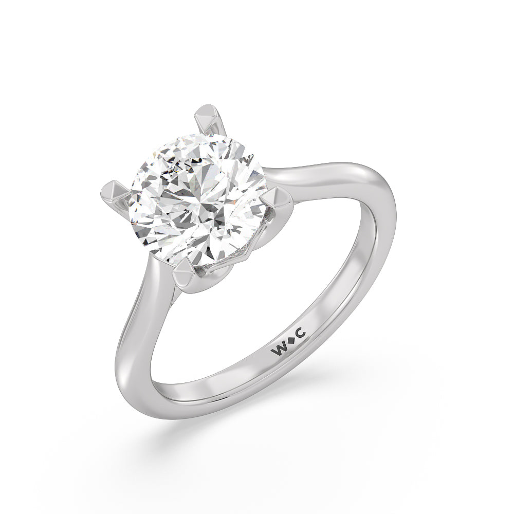 Round Cut Tulip Basket Cathedral Classic Solitaire Engagement Ring with Lab Grown Diamond in 14KT Platinum view 3
