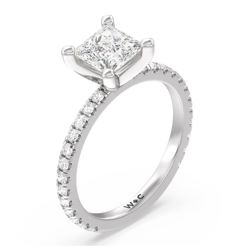 Princess Cut Ara Medi Traditional Pave Diamond Engagement Ring with Lab Grown Diamond in 14KT Platinum view 3
