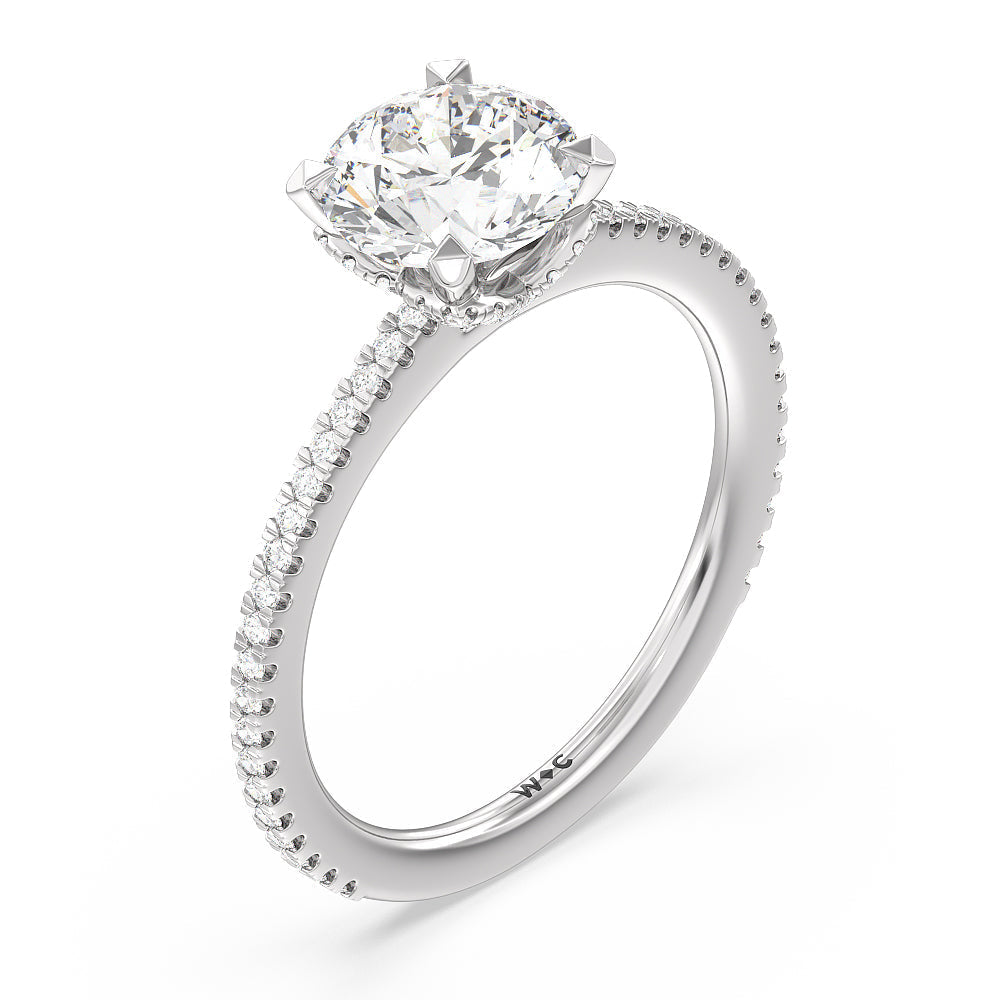 Ara Fine Hidden Halo Engagement Ring with Round Cut Diamond in 14KT Platinum view 3
