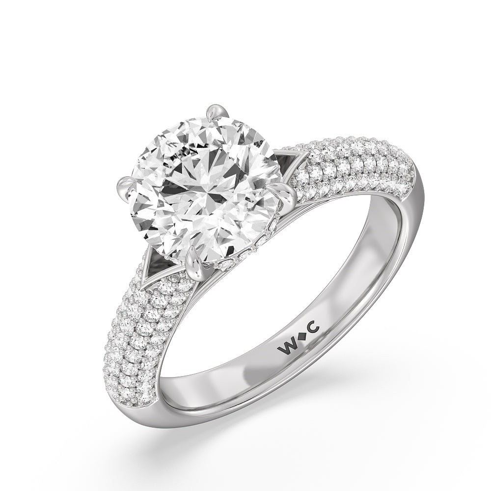 Round Cut The Delancey Ring with Lab Grown Diamond in 14KT Platinum view 3
