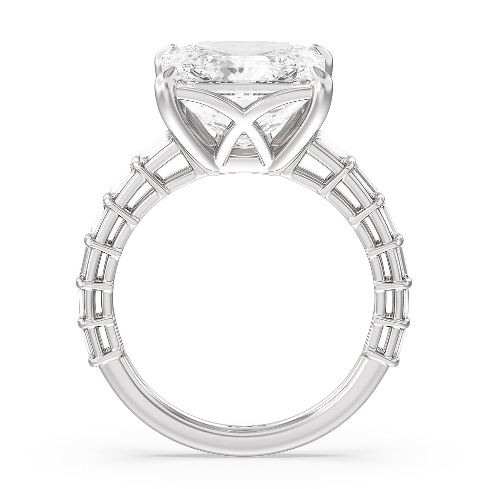 Princess Cut Elegance Two Row Baguette Studded Engagement Ring with Lab Grown Diamond in 14KT Platinum view 2
