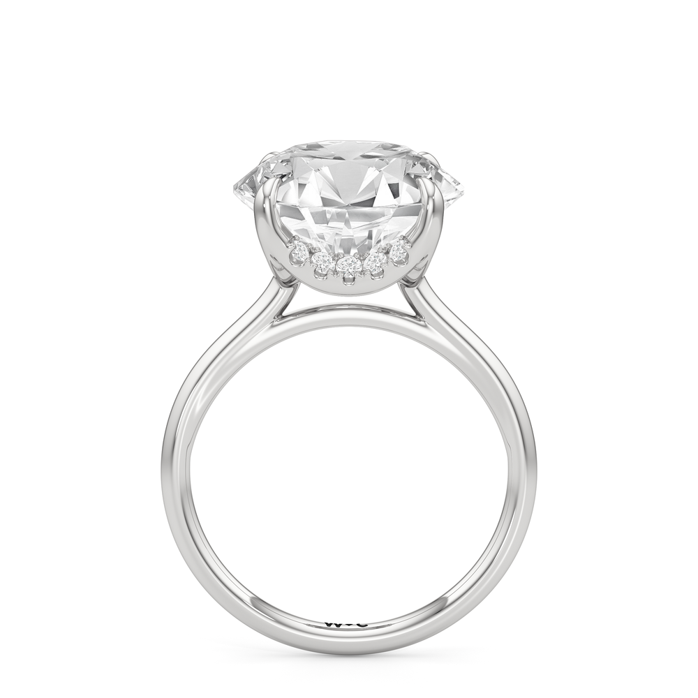 The Cassatt Solitaire Engagement Ring with Round Cut Diamond in 14KT Platinum view 2
