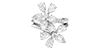 Rings Filter Icon
