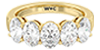 Oval Filter Icon