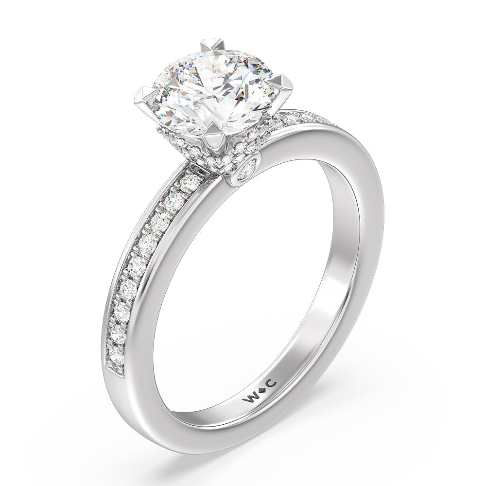 Round Cut Hidden Accent Double Halo Engagement Ring with Lab Grown Diamond in 14KT Platinum view 3
