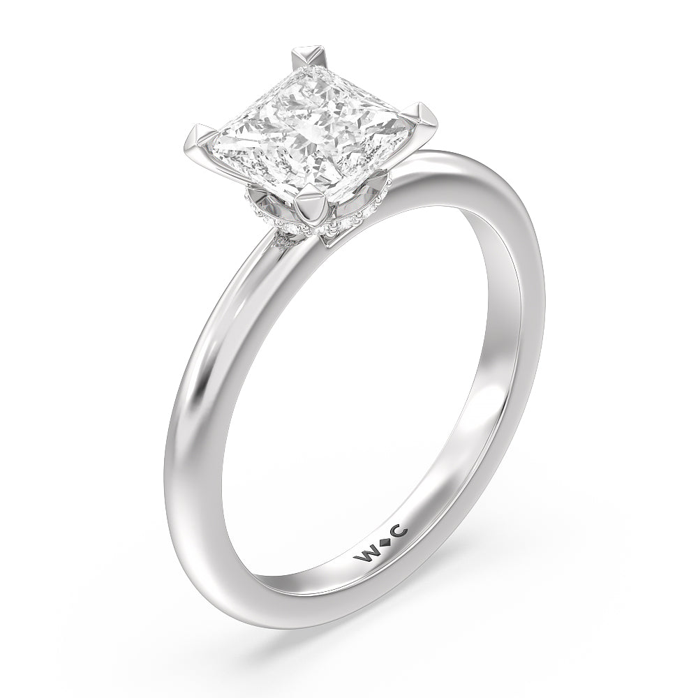 Petite Modern Fine Line Hidden Halo Engagement Ring with Princess Cut Diamond in 14KT Platinum view 3
