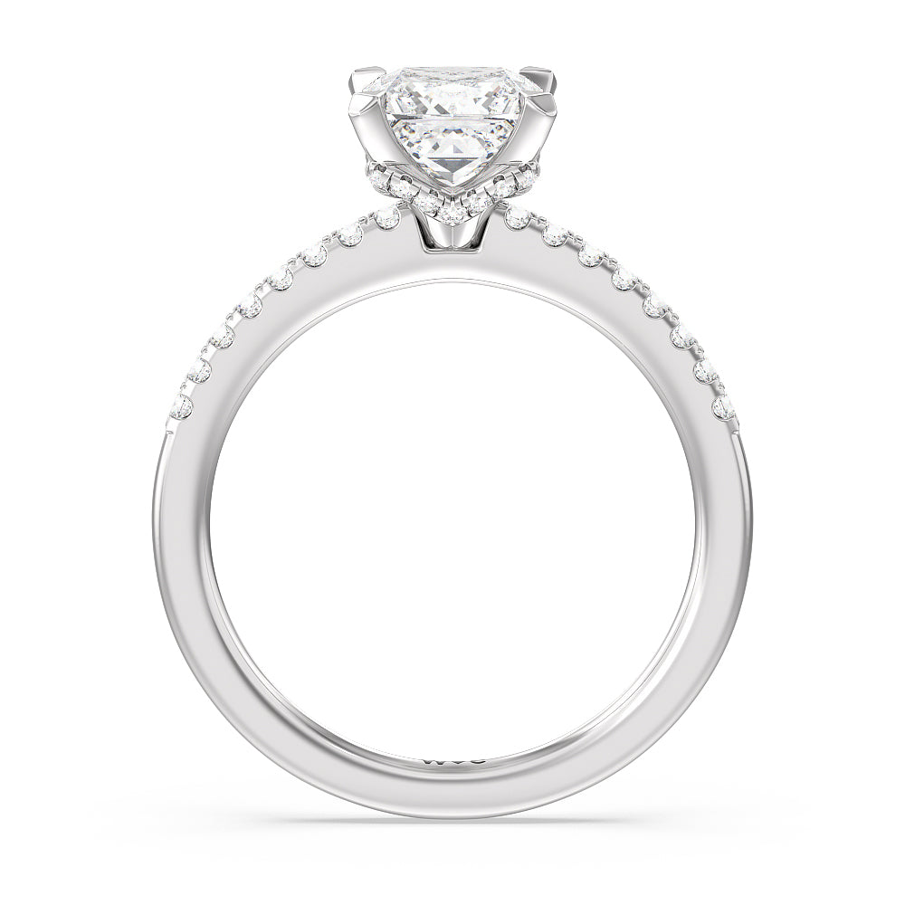 Arc Hidden Halo Engagement Ring with Princess Cut Diamond in 14KT Platinum view 2
