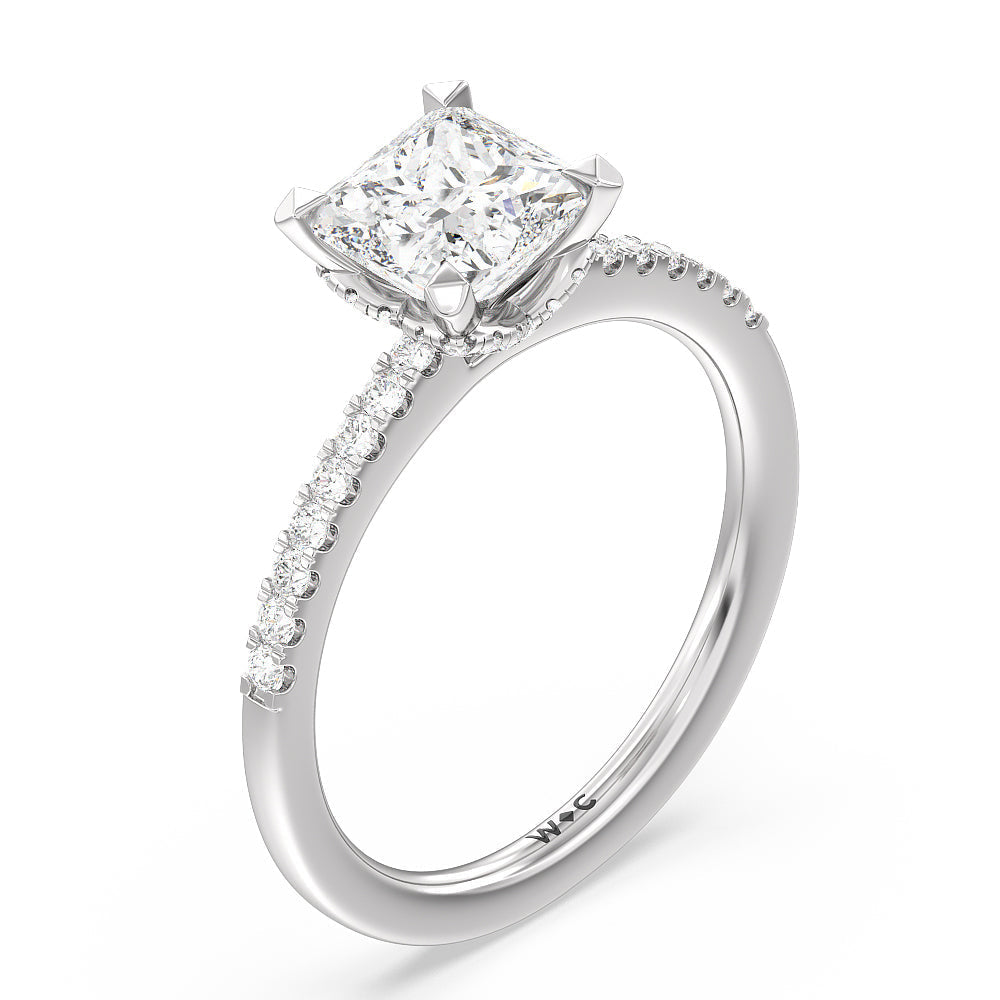Arc Hidden Halo Engagement Ring with Princess Cut Diamond in 14KT Platinum view 3
