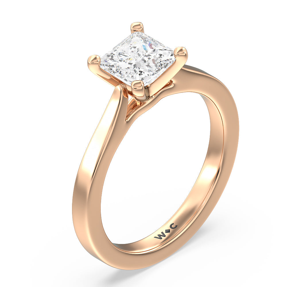 Medi Sleek Cathedral Solitaire Engagement Ring with Princess Cut Diamond in 14KT Rose Gold view 3
