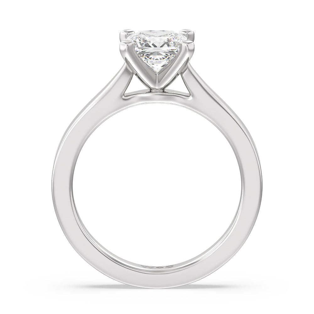 Maxi Sleek Cathedral Solitaire Engagement Ring with Princess Cut Diamond in 14KT Platinum view 2
