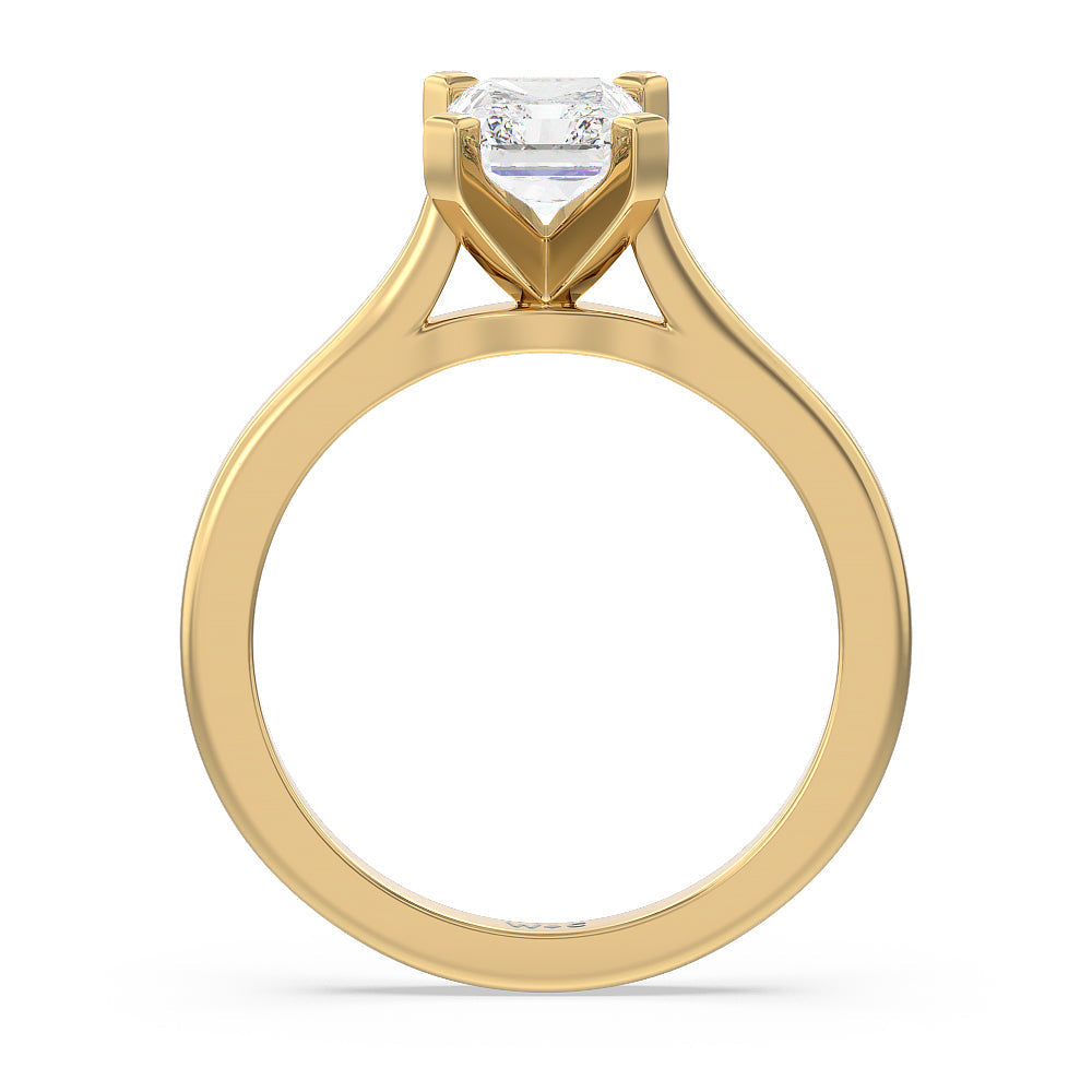Sleek Cathedral Solitaire Engagement Ring with Radiant Cut Diamond in 14KT Yellow Gold view 2
